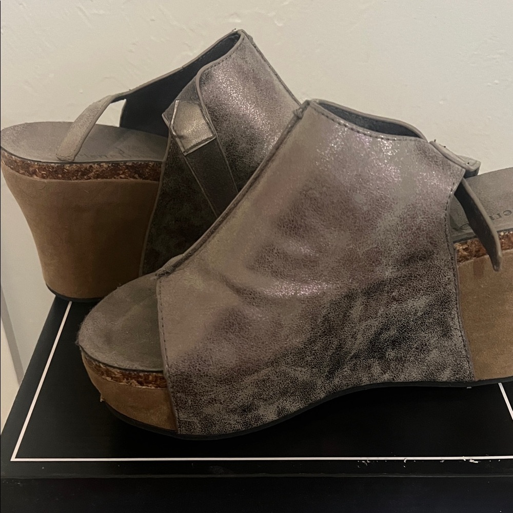 Stylish Silver Wedge Sandals